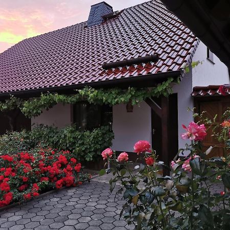 Ferienhaus Rosenhof Glaubitz Exterior foto